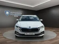 Gebraucht Skoda Octavia Style 116 PS (85 kW) 2024 Moonweiß Kombi