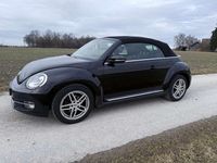 Gebraucht VW Beetle Allstar 105 PS (77 kW) 2016 Schwarz Kleinwagen