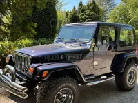 Gebraucht Jeep Wrangler 177 PS (130 kW) 1999 Blau SUV