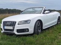 Gebraucht Audi S5 Cabriolet Design 333 PS (244 kW) 2011 Weiß Cabrio