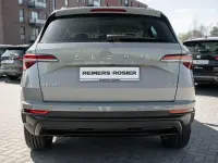 Gebraucht Skoda Karoq Ambition 150 PS (110 kW) 2023 Grau SUV