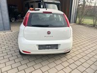 gebraucht Fiat Punto 1.4, 75 PS