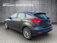 Usata Ford Focus Cool & Connect 125 CV (91 kW) 2017 Grigio Berlina
