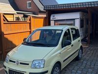 Occasion Fiat Panda Dynamic 60 ch (44 kW) 2010 Jaune Citadine