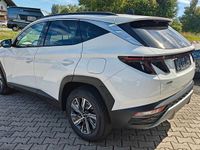 Gebraucht Hyundai Tucson Trend 230 PS (169 kW) 2023 Weiß SUV