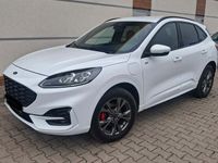 Gebraucht Ford Kuga ST-Line X 224 PS (164 kW) 2023 Weiß SUV