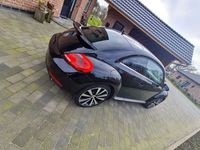 gebraucht VW Beetle Sport