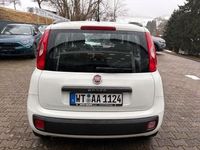Gebraucht Fiat Panda 69 PS (50 kW) 2014 Weiss Kleinwagen