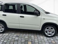 Gebraucht Fiat Panda 69 PS (50 kW) 2024 Weiss / gelatoweiss Kleinwagen
