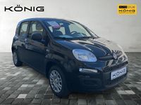 Neu Fiat Panda 69 PS (50 kW) 2025 Schwarz Kleinwagen