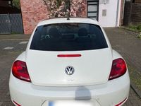 gebraucht VW Beetle The 1.2 TSI