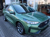 Neu Ford Kuga ST-Line 242 PS (177 kW) 2026 Grün SUV