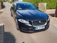 Gebraucht Jaguar XJ Portfolio 275 PS (202 kW) 2014 Schwarz Limousine
