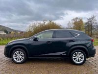 Gebraucht Lexus NX300h 2017 Schwarz SUV