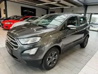 Gebraucht Ford Ecosport 125 PS (91 kW) 2020 Grau SUV