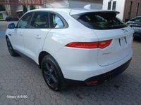 Gebraucht Jaguar F-Pace Pure 179 PS (131 kW) 2016 Weiß SUV