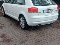 Gebraucht Audi A3 S-Line 105 PS (77 kW) 2006 Weiß Kleinwagen