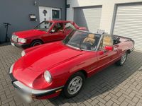 Gebraucht Alfa Romeo Spider Veloce 128 PS (94 kW) 1987 Rot Cabrio