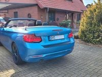 Gebraucht BMW 218 Advantage 150 PS (110 kW) 2017 Blau Cabrio