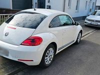 gebraucht VW Beetle 1.2 !!! TOP!!!