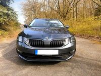 Gebraucht Skoda Octavia Drive 150 PS (110 kW) 2017 Grau Kombi