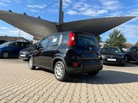 Gebraucht Fiat Panda 69 PS (50 kW) 2024 Cinema schwarz Kleinwagen