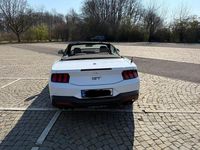 Gebraucht Ford Mustang GT 446 PS (328 kW) 2025 Weiß Cabrio