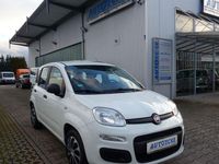 Gebraucht Fiat Panda Easy 69 PS (50 kW) 2020 Weiß Kleinwagen