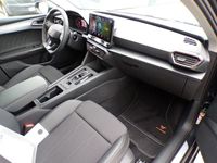Usata Cupra Leon 150 CV (110 kW) 2024 Grigio Berlina