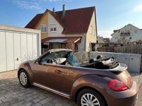 Gebraucht VW Beetle Cabriolet Allstar 110 PS (80 kW) 2016 Braun Cabrio