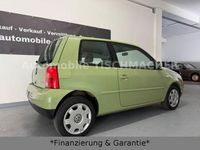 Gebraucht VW Lupo 75 PS (55 kW) 2001 Grün Kleinwagen