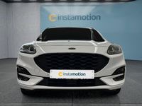 Gebraucht Ford Kuga ST-Line X 120 PS (88 kW) 2024 Weiß SUV