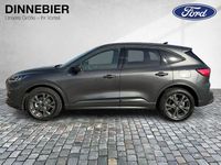 Gebraucht Ford Kuga ST-Line X 190 PS (139 kW) 2024 Grau SUV