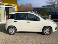 gebraucht Fiat Panda Panda 1.2 MyKLIMA / 8-FACH / SCHECKHEFT