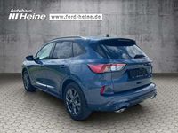 Gebraucht Ford Kuga ST-Line 150 PS (110 kW) 2022 Blue metallic SUV