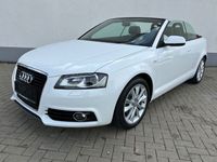 gebraucht Audi A3 Cabriolet Ambition Sline