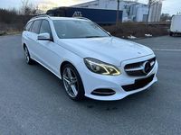 Gebraucht Mercedes E250 AMG line 204 PS (150 kW) 2014 Weiß Kombi