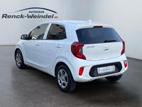 Gebraucht Kia Picanto Vision 67 PS (49 kW) 2024 Weiß Kleinwagen