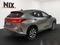 Gebraucht Lexus NX350h Executive Line 243 PS (178 kW) 2024 Titaniumsilber SUV