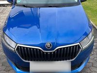 Gebraucht Skoda Fabia Active 95 PS (69 kW) 2020 Blau Kleinwagen