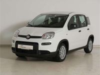 Gebraucht Fiat Panda 69 PS (50 kW) 2024 Weiss Kleinwagen
