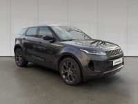 Gebraucht Land Rover Range Rover evoque 206 PS (151 kW) 2022 Carpathian grey SUV