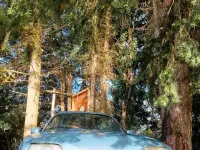 Gebraucht Citroën CX 121 PS (88 kW) 1990 Silber Kombi