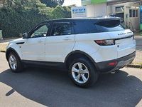Gebraucht Land Rover Range Rover evoque Landmark 150 PS (110 kW) 2018 Weiß SUV