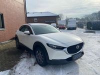 Gebraucht Mazda CX-30 Selection 186 PS (136 kW) 2021 Weiß SUV