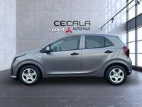 Neu Kia Picanto 68 PS (50 kW) 2025 Grau Kleinwagen