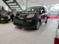 Neu Fiat Panda 69 PS (50 kW) 2025 Schwarz Limousine