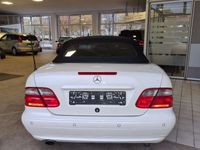 gebraucht Mercedes CLK230 Cabrio Kompressor Avantgarde