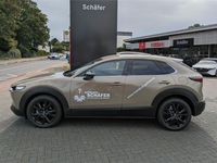 Neu Mazda CX-30 Homura-Line 140 PS (102 kW) 2026 Beige SUV