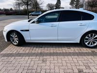 gebraucht Jaguar XF 30d 300PS R-Sport Automatik R-Sport